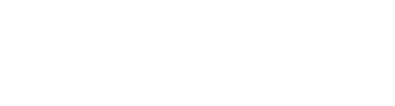 ACE Europe